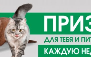 Зарегистрировать чек и код promo.perfectfit.ru