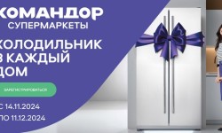 Акция Командор «Холодильник в каждый дом»