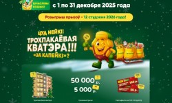 Рекламная игра Грошык «Шчаслівы кошык (Счастливая корзина)»