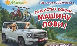 Как принять участие в акции «Пушистых корми — машину лови!» от Мария-Ра и получить призы