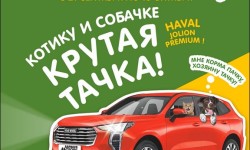 Как участвовать в розыгрыше призов Мария-Ра и выиграть автомобиль HAVAL Jolion