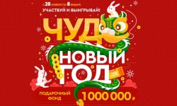 Акция Гулливер Ул «Чудо Новый Год 2025»