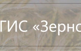 Как зарегистрироваться и войти в личный кабинет ФГИС Зерно