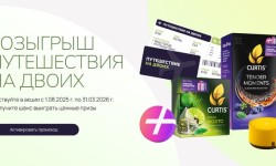 Акция Кёртис и Яндекс Плюс «Подарок за покупку чая Curtis»
