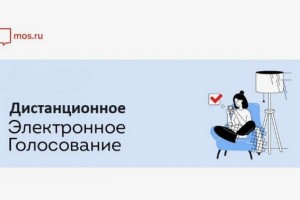 Как участвовать в дистанционном электронном голосовании (ДЭГ) в Москве