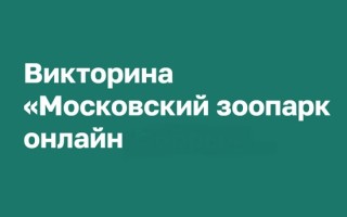 Как пройти и правильно ответить в викторине «Московский зоопарк онлайн»