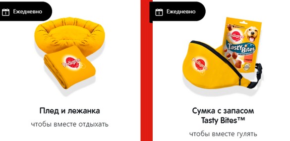 ежедневные призы