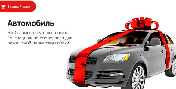 главный приз
