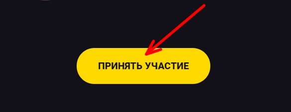 принять участие