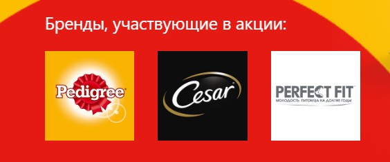 продукция