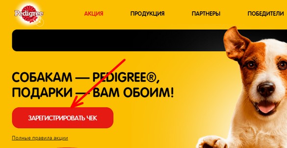 зарегистрировать чек