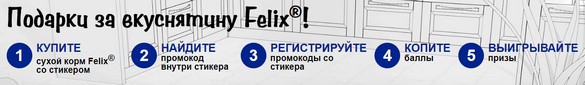 механика ации