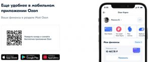Карта Озон: как получить, пополнить, перевести и вывести деньги без ...