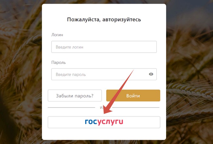 авторизация через госуслуги