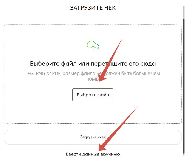 загрузить чек или ввести данные вручную