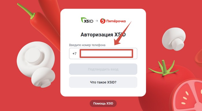 войти в аккаунт X5ID