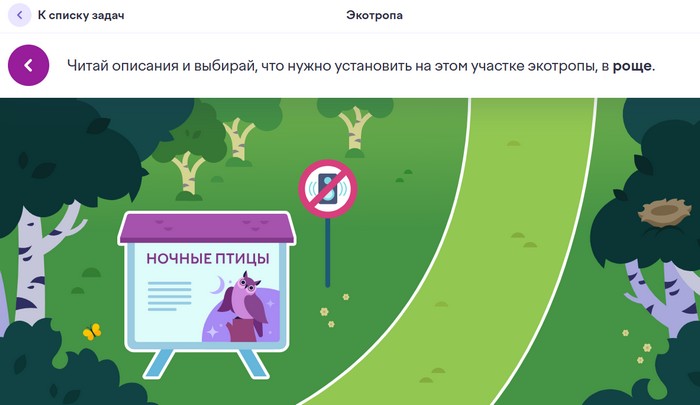 экотропа насыпная дорога