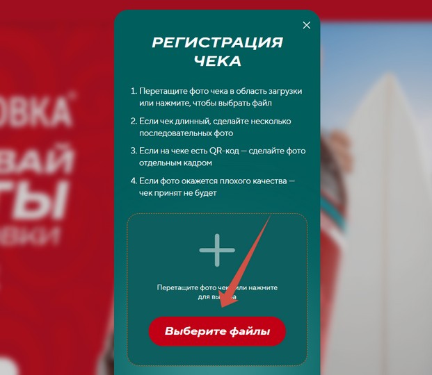 загрузка чека черноголовка