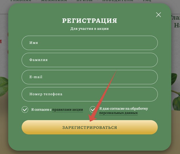 регистрация чека помидоркаидея рф