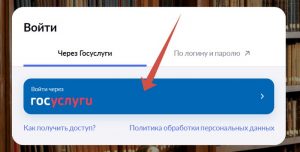 authedu.mosreg.ru/mo Моя школа: вход в электронный дневник через Госуслуги
