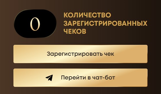 регистрация чека поетти промо