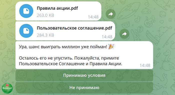 согласие с правилами акции выручай