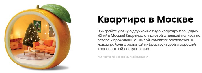 главный приз квартира в москве
