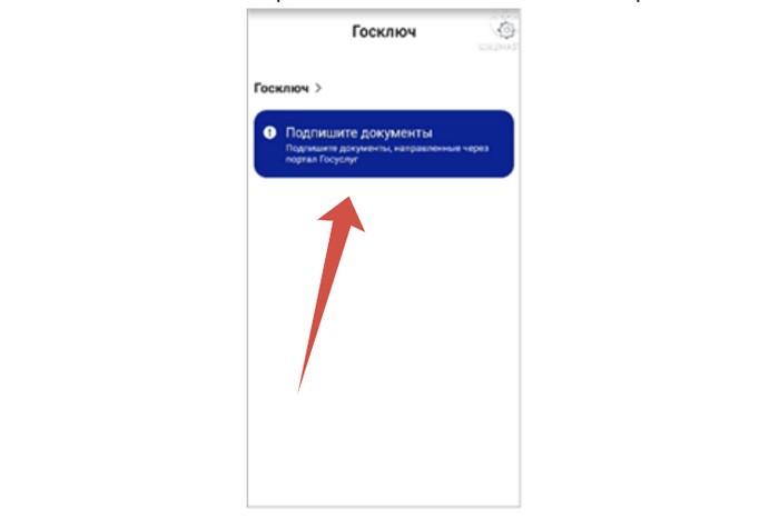 подписать документы через госключ