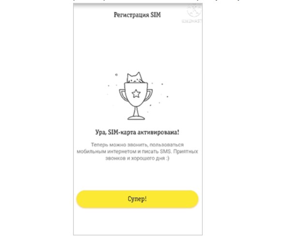 проверка активации сим карты билайн