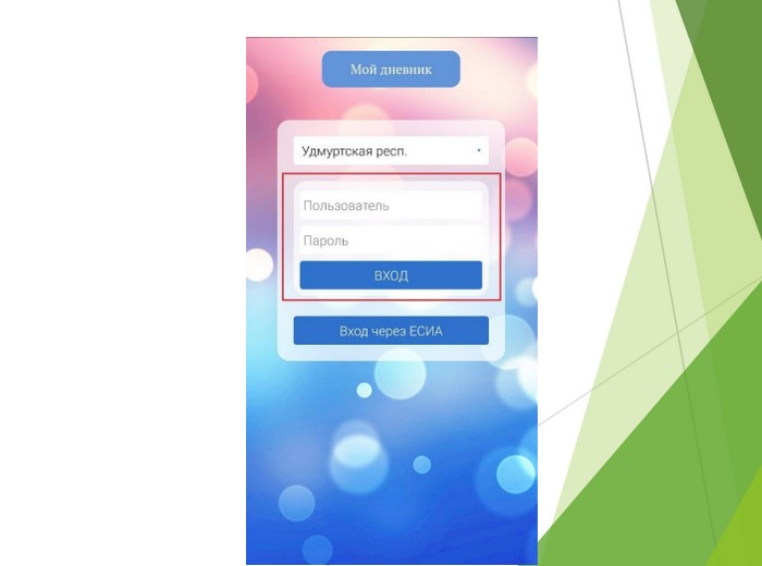 приложение мой дневник