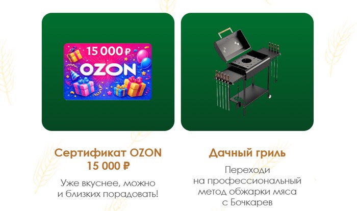 ежемесячные призы бочкарев